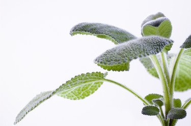 Similar image 7963872