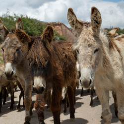 Similar image 7963878