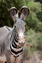 Similar image 7963880