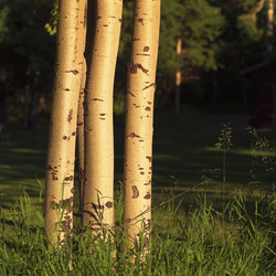 Similar image 7963886