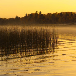 Similar image 7963901