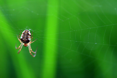 Similar image 7963903