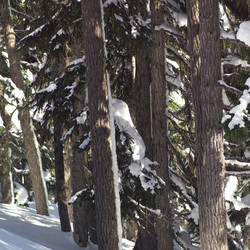 Similar image 7963905