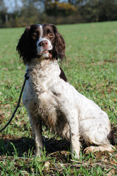 Similar image 7963909