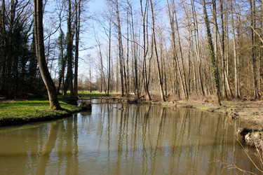 Similar image 7963911