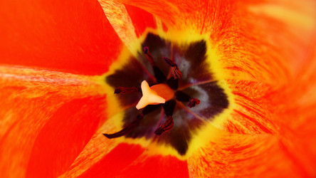 Similar image 7963918