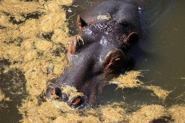 Similar image 7963923