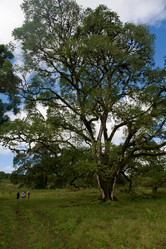 Similar image 7963935