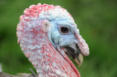 Similar image 7963936