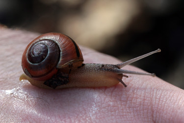 Similar image 7963938