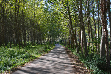 Similar image 7963939