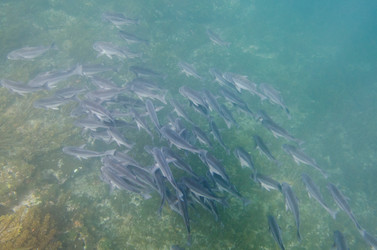 Similar image 7963966