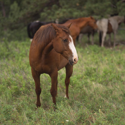 Similar image 7963971