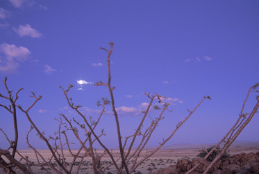 Similar image 7963982