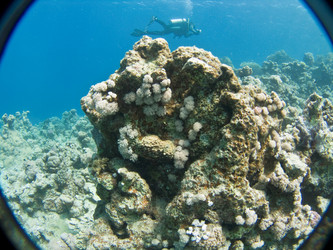 Similar image 7963992