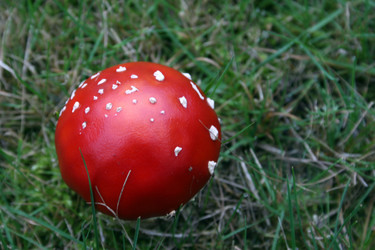 Similar image 7964001