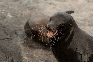 Similar image 7964003