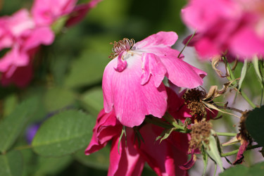 Similar image 7964009