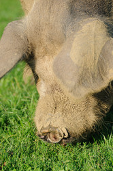 Similar image 7964016