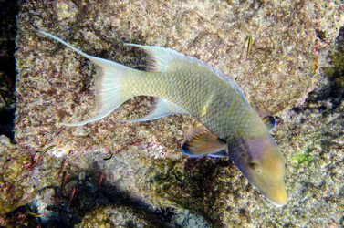 Similar image 7964017