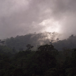 Similar image 7964019