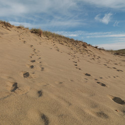 Similar image 7964022