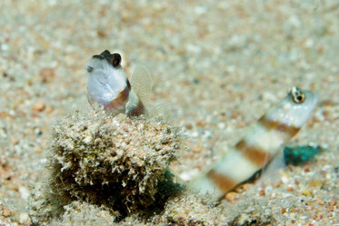 Similar image 7964026