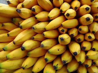 Similar image 7964048