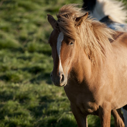 Similar image 7964055