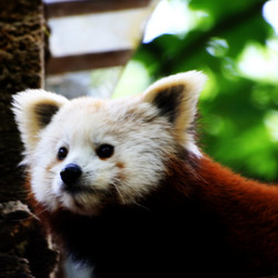 Similar image 7964068