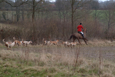 Similar image 7964071