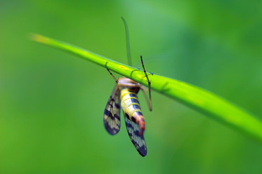 Similar image 7964082