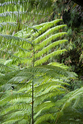 Similar image 7964090