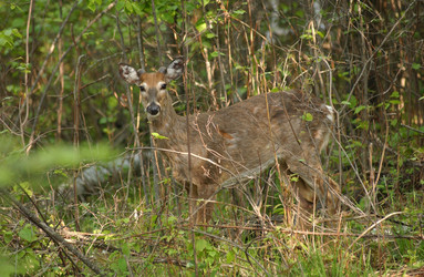 Similar image 7964093