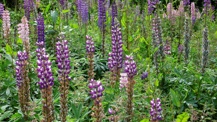 Similar image 7964106