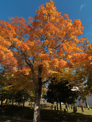 Similar image 7964114