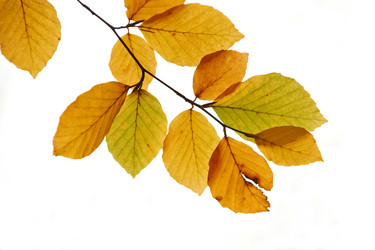 Similar image 7964116