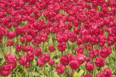 Similar image 7964117