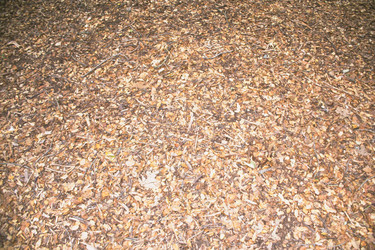 Similar image 7964119