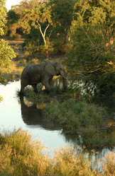 Similar image 7964121