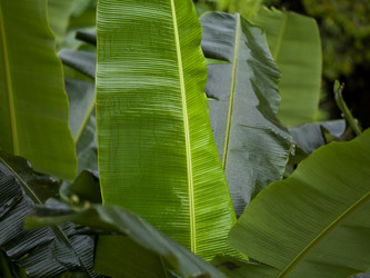 Similar image 7964128