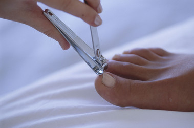 Similar image 7964132