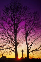 Similar image 7964152