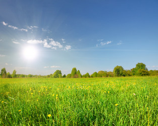 Similar image 7964160