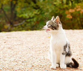 Similar image 7964198