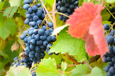 Similar image 7964211