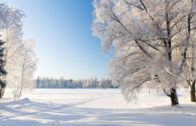 Similar image 7964256