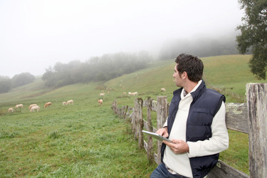 Similar image 7964266