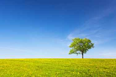 Similar image 7964276