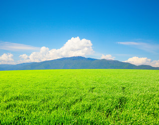 Similar image 7964289